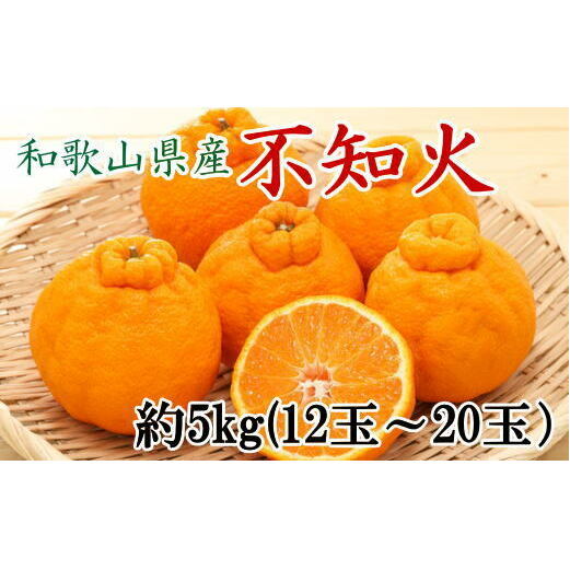 和歌山県産不知火約5kg(12玉〜20玉おまかせ)※2026年2月下旬〜4月中旬頃に順次発送予定和歌山県美浜町14000果物・フルーツみかん・柑橘類
