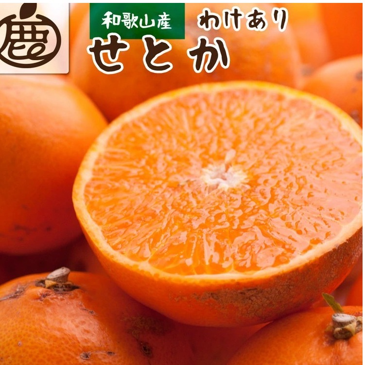 <2月より発送>家庭用 せとか1kg+250g(傷み補償分)【柑橘・春みかんの王様】【光センサー選果・食べ頃出荷】訳あり わけあり ワケアリ ◇ ※北海道・沖縄・離島への配送不可 ※2026年2月