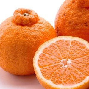<2月より発送>厳選 不知火2.5kg+250g(傷み補償分)◇【デコポンと同品種・人気の春みかん】 ※2026年2月上旬〜3月下旬頃に順次発送予定 ※北海道・沖縄・離島への配送不可和歌山県美浜町1