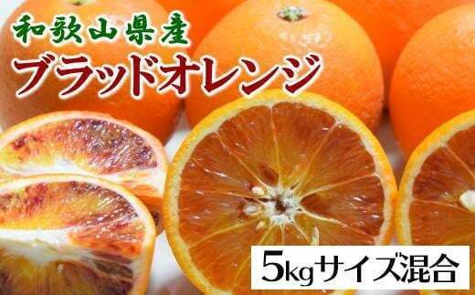 【希少・高級柑橘】国産濃厚ブラッドオレンジ「タロッコ種」約5kg ※2026年4月上旬〜4月下旬頃に順次発送予定和歌山県美浜町18000果物・フルーツみかん・柑橘類