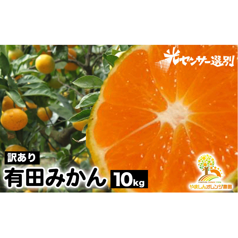 【訳あり】有田みかん 10kg | 農家直送 訳あり ご家庭用 サイズ混合 光センサー選別 温州みかん みかん 訳あり わけあり 家庭用 ※2025年11月中旬〜2026年1月上旬頃に順次発送予定 ※北海道・沖
