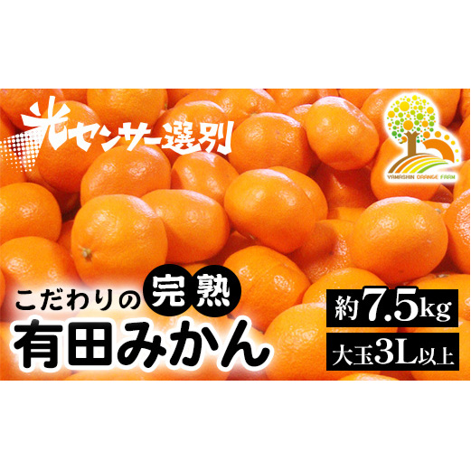 有田みかん 約7.5kg 大玉3L以上 有機質肥料100% \光センサー選別/ 農家直送 ※北海道・沖縄・離島への配送不可◇※2025年11月中旬〜2026年1月上旬頃に順次発送予定和歌山県美浜町13000果物・フ