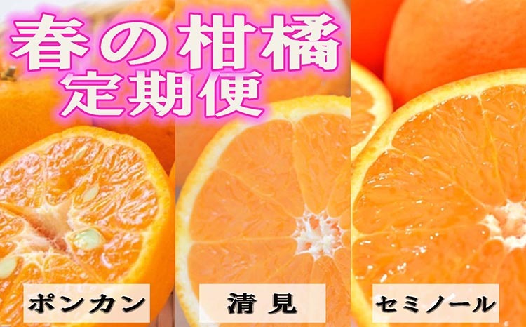 〈定期便〉【2・3・4月 全3回】和歌山の春の柑橘(ポンカン・清見オレンジ・セミノールオレンジ)|フルーツ ふるーつ 果物 くだもの 詰め合わせ 果物定期便 春 旬 みかん オレンジ 柑橘