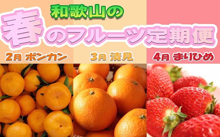 〈定期便〉【2・3・4月 全3回】和歌山の春のフルーツ(ポンカン・清見オレンジ・まりひめ) ◇|フルーツ ふるーつ 果物 くだもの 詰め合わせ 果物定期便 みかん オレンジ いちご 国産 産