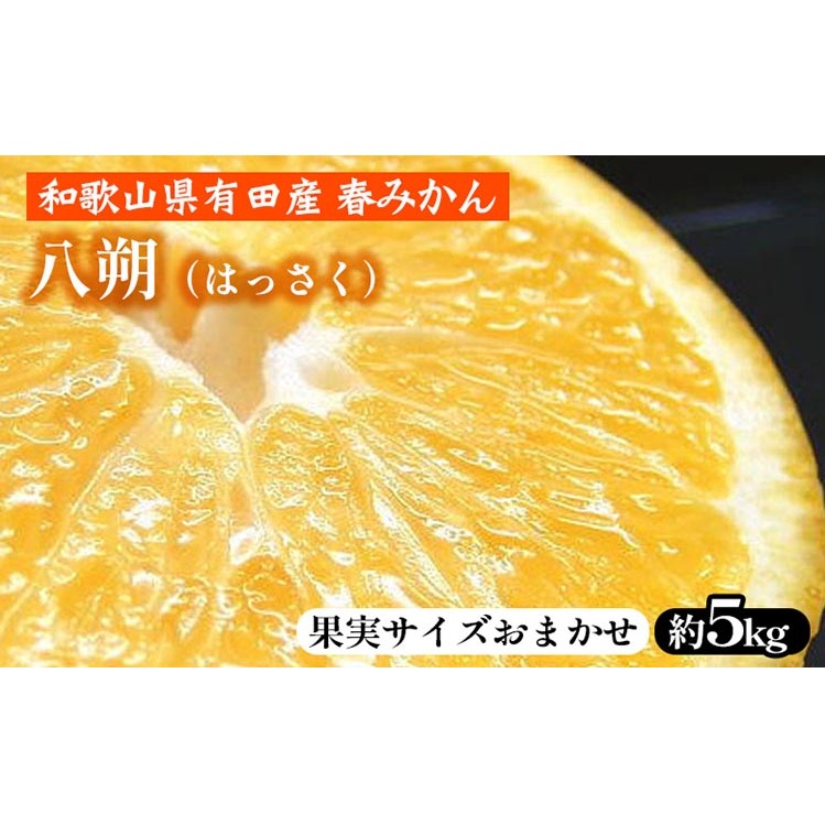 i͂jm5kgna̎RLcY t݂yʎTCY܂z b a̎RY k t[c Iɍq{ܘa̎Rl14000ʕEt[c݂Ek