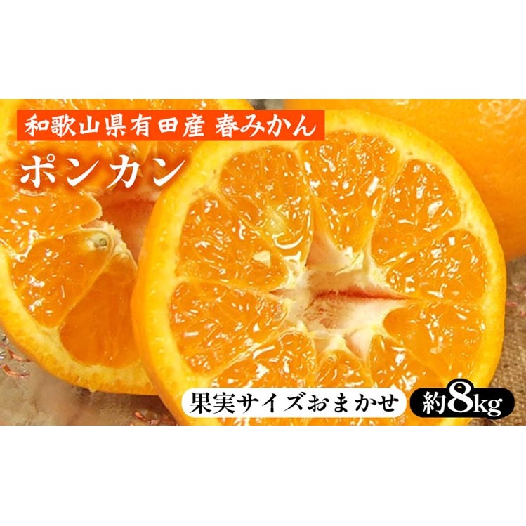 |Jm8kgna̎R LcY t݂ tkyʎTCY܂z b a̎RY k t[c Iɍq{ܘa̎Rl23000ʕEt[c݂Ek