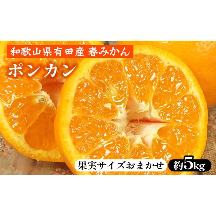 |Jm5kgna̎R LcY t݂ tkyʎTCY܂z b a̎RY k t[c Iɍq{ܘa̎Rl16000ʕEt[c݂Ek