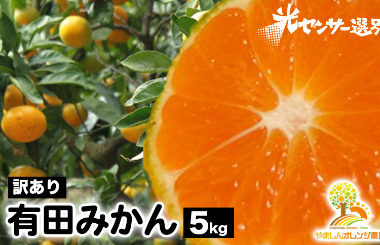 【先行受付】【訳あり】有田みかん 5kg | 農家直送 訳あり ご家庭用 サイズ混合 光センサー選別 温州みかん みかん 訳あり わけあり 家庭用 ※2025年11月中旬〜12月下旬頃に順次発送予定※北