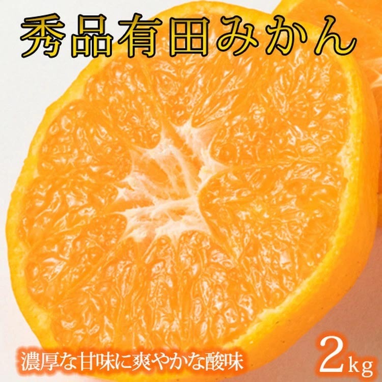 秀品 有田みかん 2kg 2S〜Lサイズのいずれか◇ ※2025年11月下旬〜2026年1月下旬頃に順次発送予定 ふるさと納税 みかん和歌山県美浜町8000果物・フルーツみかん・柑橘類