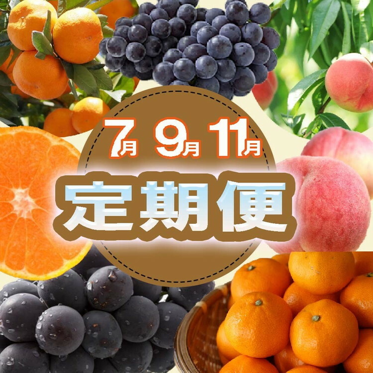 〈定期便〉【7・9・11月 全3回】産直・和歌山フルーツ(桃・ピオーネ・有田みかん)※北海道・沖縄・離島への配送不可和歌山県美浜町47000果物・フルーツその他 果物・フルーツ