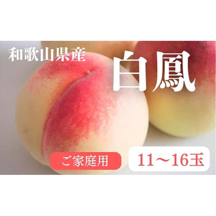 【先行予約】和歌山県産 白鳳 桃 11〜16玉入り 訳あり ご家庭用 数量限定【2025年7月上旬〜7月下旬頃に順次発送予定】※離島への配送不可 ◇ | 果物 もも モモ 果実 和歌山県 白鳳 桃 くだもの