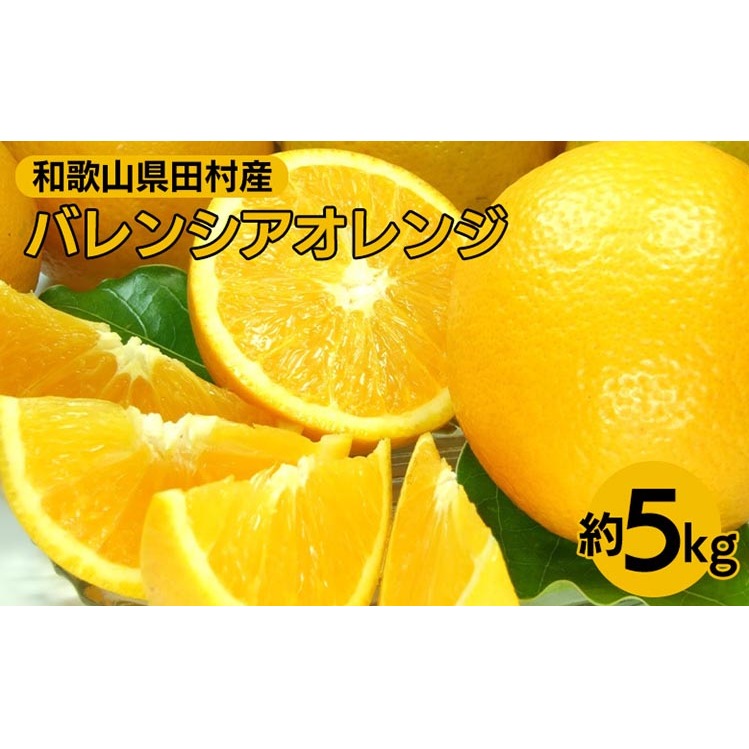 oVAIWm5kgn󒬓cY t݂ tk yʎTCY܂zba̎RY k t[c Iɍq{ܘa̎Rl14000ʕEt[c݂Ek