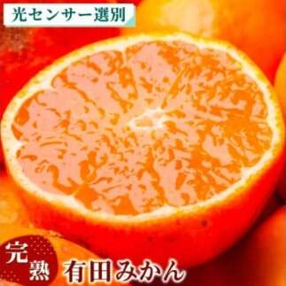 〈11月より発送〉完熟 プレミアム有田みかん 10kg+250g(傷み補償分) | 柑橘 果物 フルーツ 糖度 甘い 濃厚 コク ジューシー 光センサー ※北海道・沖縄・離島への配送不可 ※2025年11月上旬