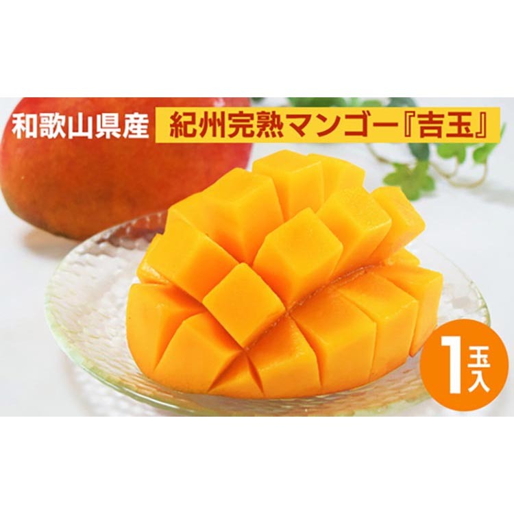 s\񁟘a̎RY@IBn}S[wgʁx1ʓ 2025N7{`8{ɏ\ ւ̔zsa̎Rl20000ʕEt[c}S[EpCibv