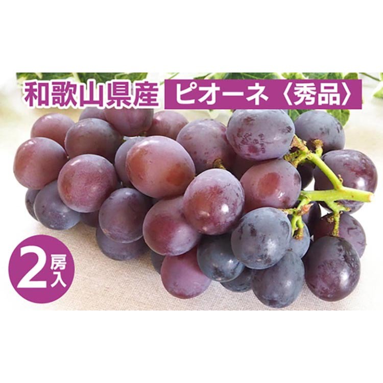 ◆先行予約◆ 和歌山県産 ピオーネ 2房入り〈秀品〉 ※2025年8月下旬〜9月上旬頃に順次発送予定 ※離島への配送不可和歌山県美浜町15000果物・フルーツマスカット・ぶどう
