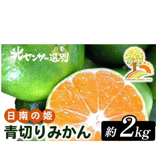 こだわりの青切りみかん 約2kg 農家直送 有機質肥料 100% サイズ混合 | みかん 柑橘 果物 くだもの 果実 フルーツ 和歌山 有田 ※北海道・沖縄・離島への配送不可 ※2025年9月下旬〜10月上旬頃