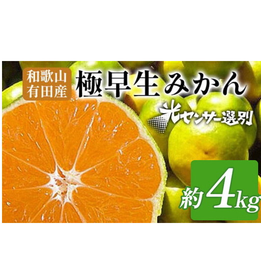 こだわりの極早生みかん 約4kg 農家直送 有機質肥料100% サイズ混合 | みかん 極早生 早生 柑橘 果物 くだもの 果実 フルーツ 和歌山 有田 ※北海道・沖縄・離島への配送不可 ※2025年9月下旬