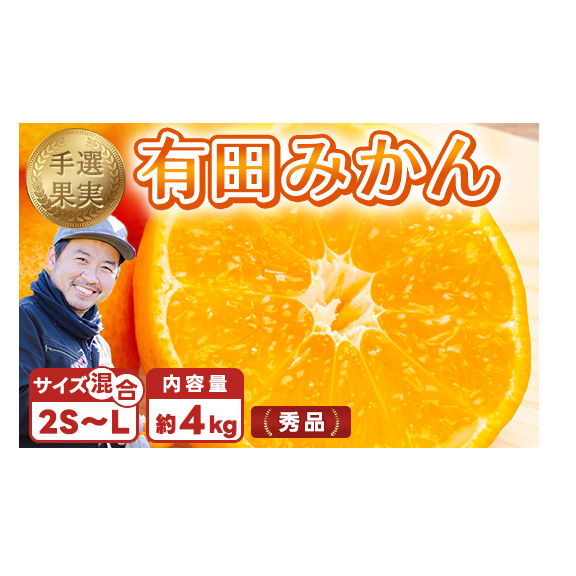 【まごころ手選別】和歌山産 有田みかん 4kg (2S〜Lサイズ混合) ※2025年11月上旬〜2026年1月下旬頃に順次発送予定和歌山県美浜町11000果物・フルーツみかん・柑橘類