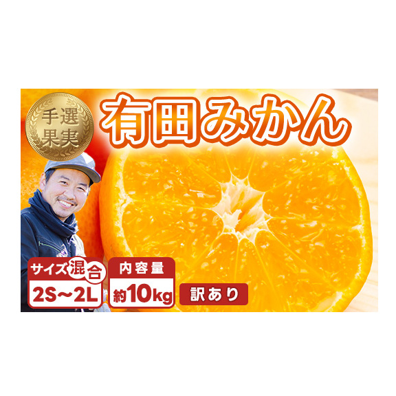 【まごころ手選別】和歌山産 有田みかん 10kg 家庭用(2S〜2Lサイズ混合) ※2025年11月上旬〜2026年1月下旬頃に順次発送予定和歌山県美浜町13000果物・フルーツみかん・柑橘類