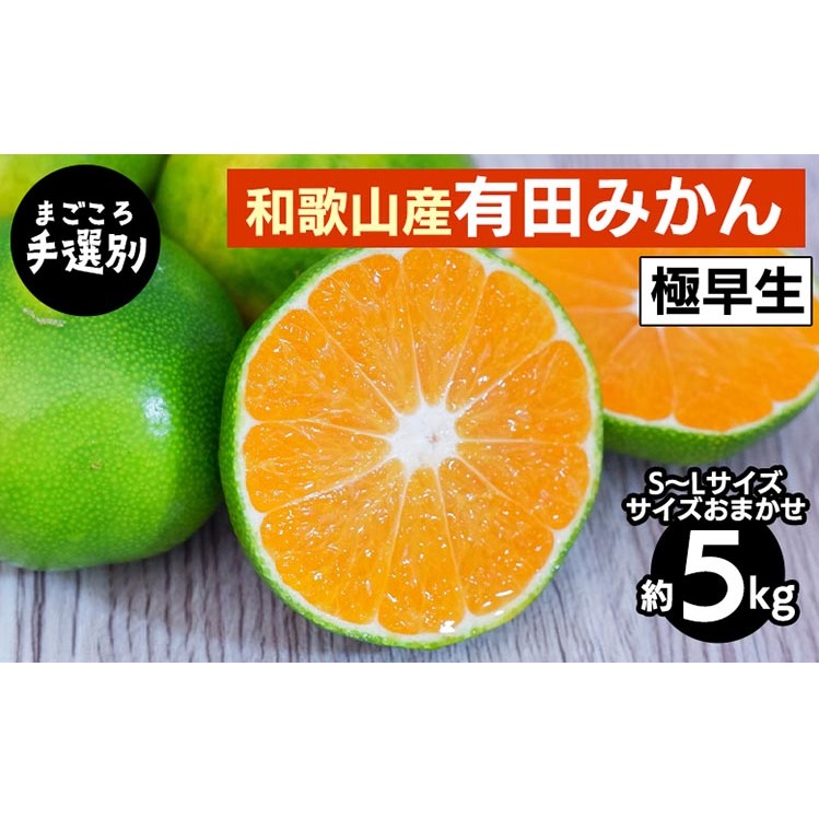 【まごころ手選別】和歌山産 有田みかん(極早生) 5kg (S〜Lサイズ)【サイズおまかせ】 ※2025年10月上旬〜11月中旬頃に順次発送予定和歌山県美浜町13000果物・フルーツみかん・柑橘類