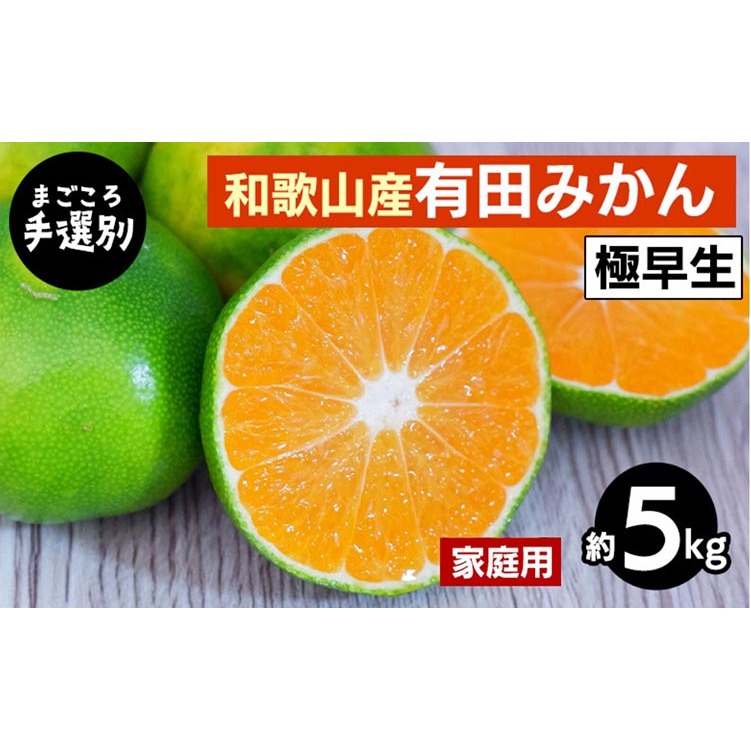 【まごころ手選別】和歌山産 有田みかん(極早生) 5kg 家庭用 ※2025年10月上旬〜11月中旬頃に順次発送予定和歌山県美浜町10000果物・フルーツみかん・柑橘類
