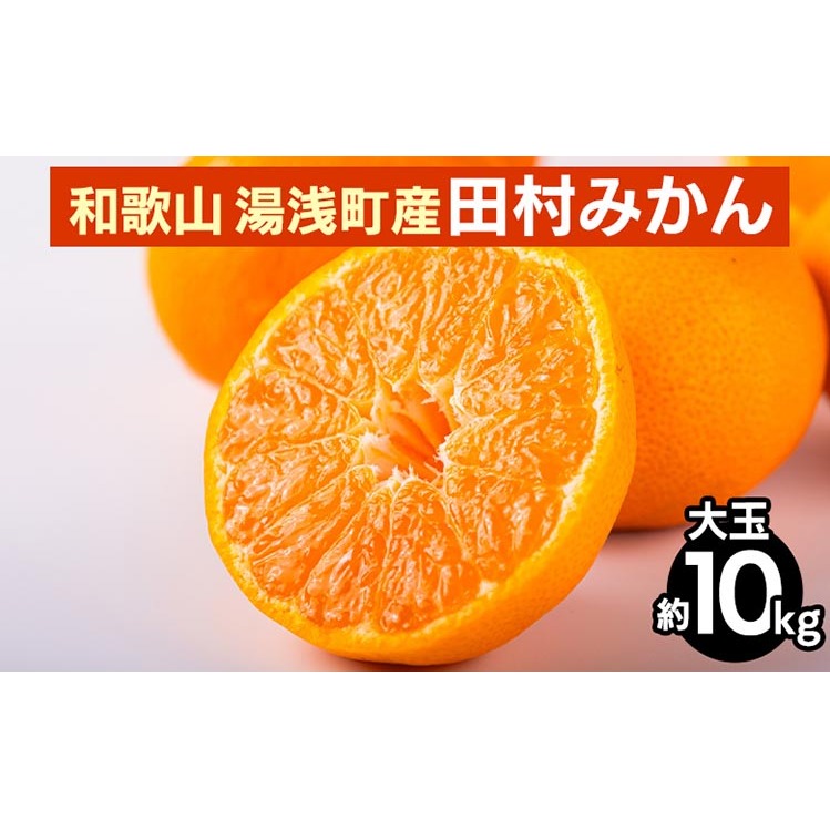 和歌山 湯浅町産 田村みかん 10kg【大玉】 ※2025年11月中旬〜2026年1月中旬頃に順次発送予定和歌山県美浜町18000果物・フルーツみかん・柑橘類