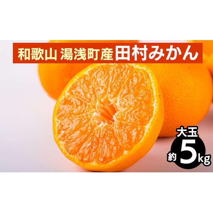 和歌山 湯浅町産 田村みかん 5kg【大玉】 ※2025年11月中旬〜2026年1月中旬頃に順次発送予定和歌山県美浜町12000果物・フルーツみかん・柑橘類