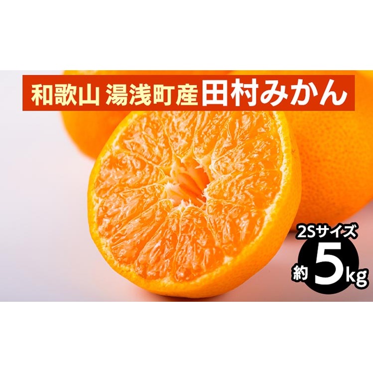 和歌山 湯浅町産 田村みかん 5kg【2Sサイズ】 ※2025年11月中旬〜2026年1月中旬頃に順次発送予定和歌山県美浜町15000果物・フルーツみかん・柑橘類