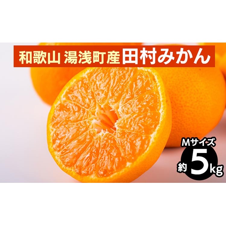 和歌山 湯浅町産 田村みかん 5kg【Mサイズ】 ※2025年11月中旬〜2026年1月中旬頃に順次発送予定和歌山県美浜町20000果物・フルーツみかん・柑橘類