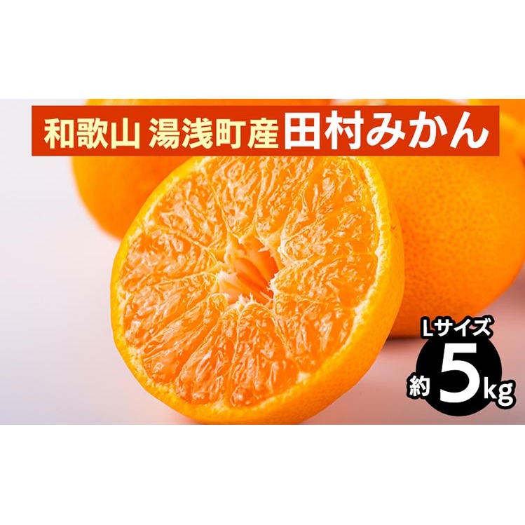 和歌山 湯浅町産 田村みかん 5kg【Lサイズ】 ※2025年11月中旬〜2026年1月中旬頃に順次発送予定和歌山県美浜町17000果物・フルーツみかん・柑橘類