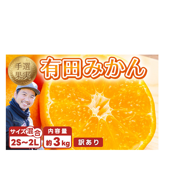 【まごころ手選別】和歌山産 有田みかん 3kg 家庭用(2S〜2Lサイズ混合) ※2025年11月上旬〜2026年1月下旬頃に順次発送予定和歌山県美浜町7000果物・フルーツみかん・柑橘類