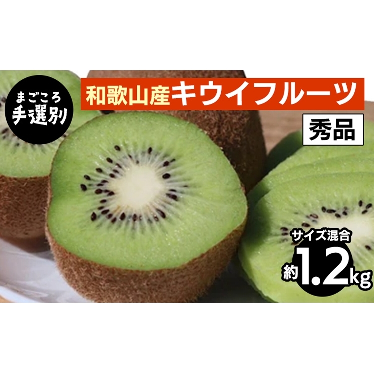【まごころ手選別】和歌山産 キウイフルーツ 約1.2kg(サイズ混合) 秀品 ※2026年1月下旬〜3月中旬頃に順次発送予定和歌山県美浜町8000果物・フルーツその他 果物・フルーツ