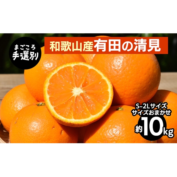 【まごころ手選別】和歌山産 有田の清見 10kg(S〜2Lサイズ)サイズおまかせ ※2026年3月上旬〜4月下旬頃に順次発送予定和歌山県美浜町20000果物・フルーツみかん・柑橘類