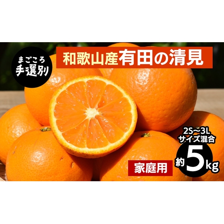 【まごころ手選別】和歌山産 有田の清見 約5kg(2S〜3Lサイズ混合)【家庭用】 ※2026年3月上旬〜4月下旬頃に順次発送予定和歌山県美浜町9000果物・フルーツみかん・柑橘類