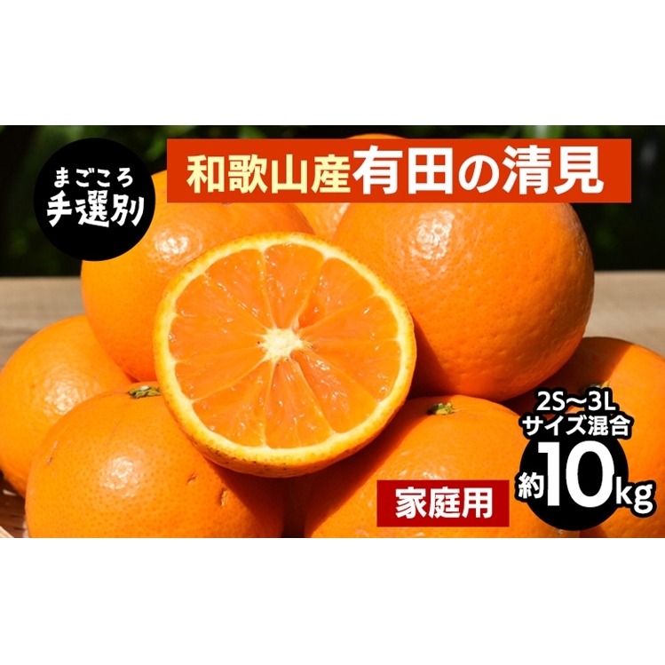 【まごころ手選別】和歌山産 有田の清見 約10kg(2S〜3Lサイズ混合)【家庭用】 ※2026年3月上旬〜4月下旬頃に順次発送予定和歌山県美浜町15000果物・フルーツみかん・柑橘類