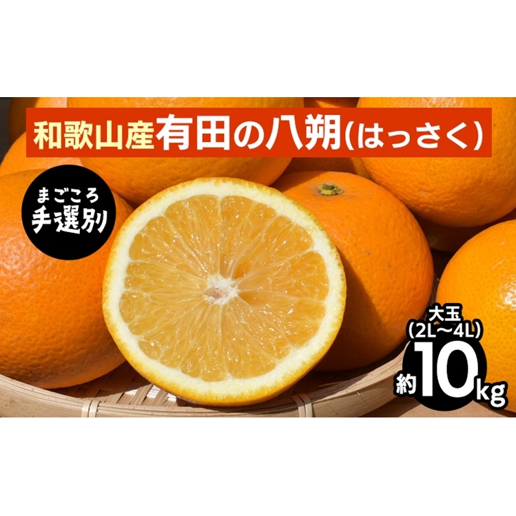【まごころ手選別】有田のはっさく・10kg大玉(2L〜4L) ※2026年1月上旬〜3月下旬頃に順次発送予定和歌山県美浜町15000果物・フルーツみかん・柑橘類