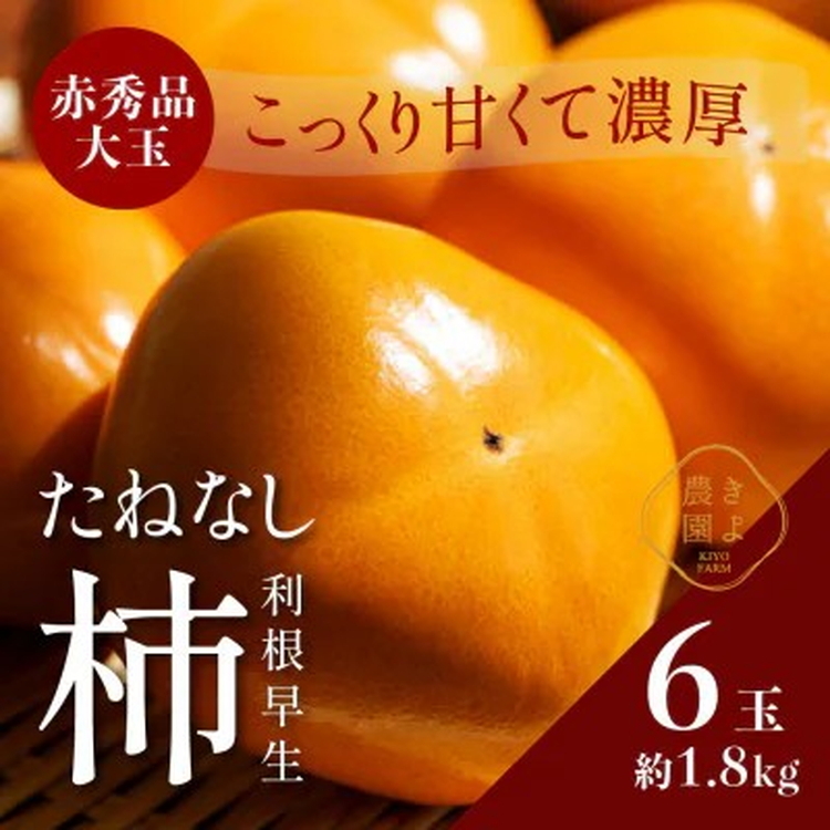 先行受付 柿(種無し) 赤秀品大玉 6個入 約1.8kg ※2025年9月下旬〜10月下旬頃に順次発送予定 ※離島への配送不可和歌山県美浜町11000果物・フルーツその他 果物・フルーツ