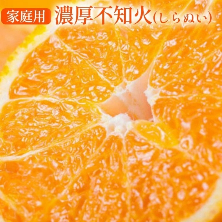 【先行予約】 有田育ちの濃厚 不知火 (デコポン と同品種)(訳あり 家庭用) 約10kg◇ ※2026年1月下旬〜3月下旬頃に順次発送予定 ※沖縄・離島への配送不可和歌山県美浜町24000果物・フルーツみ