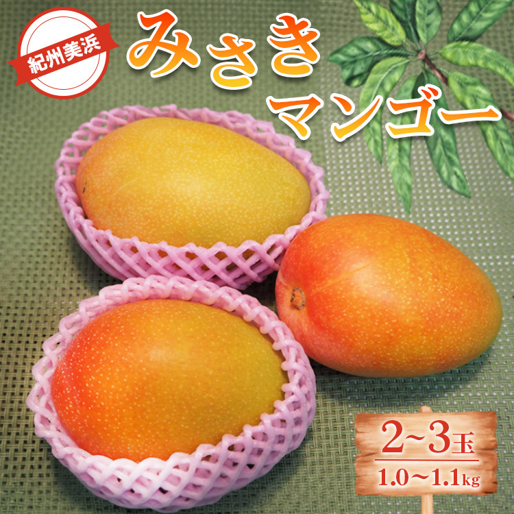 IBl݂}S[2`3ʁi1.0`1.1kgj ւ̔zs 2025N7{`9{ɏ\a̎Rl18000ʕEt[c}S[EpCibv