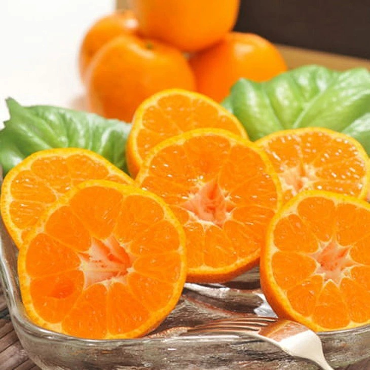 ys\zy~̔zy_ƒzZ|Jiƒpj8kg b Lc k t[c ݂ IW Yn kCEEւ̔zs 2026N1{`2{ɏ