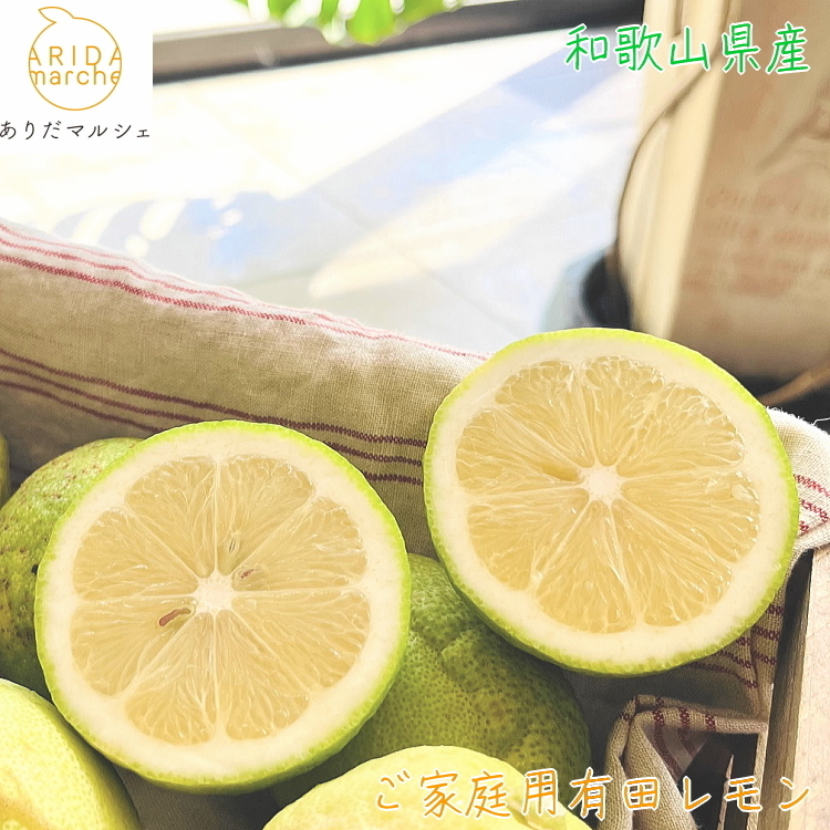 【先行予約】 紀州 和歌山 ご家庭用 有田 レモン 【防腐剤・ワックス不使用】【農家直送】【訳あり】 3kg ※北海道・沖縄・離島への配送不可 ※2025年9月下旬〜2026年3月下旬頃に順次発送予