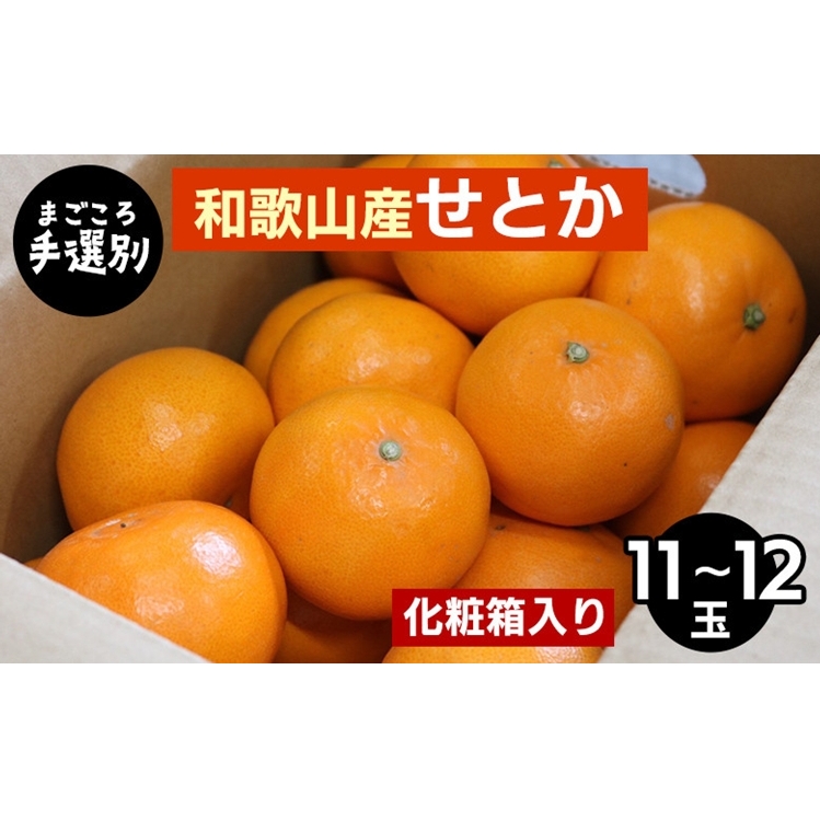 【まごころ手選別】和歌山産 せとか 化粧箱入り (11〜12玉) ※2026年2月下旬〜4月中旬頃より順次発送予定和歌山県美浜町15000果物・フルーツみかん・柑橘類