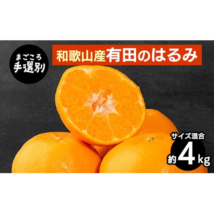 【まごころ手選別】和歌山産有田のはるみ 約4kg(サイズ混合) ※2026年1月下旬〜2月下旬頃より順次発送予定和歌山県美浜町15000果物・フルーツみかん・柑橘類