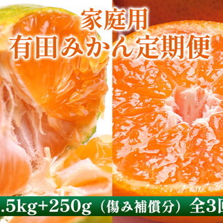 〈定期便〉【10・11・12月 全3回】家庭用 有田みかん定期便 2.5kg+250g(傷み補償分)※北海道・沖縄・離島への配送不可和歌山県美浜町21000果物・フルーツみかん・柑橘類