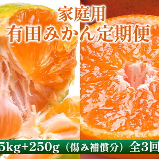 〈定期便〉【10・11・12月 全3回】家庭用 有田みかん定期便 5kg+250g(傷み補償分)※北海道・沖縄・離島への配送不可和歌山県美浜町36000果物・フルーツみかん・柑橘類