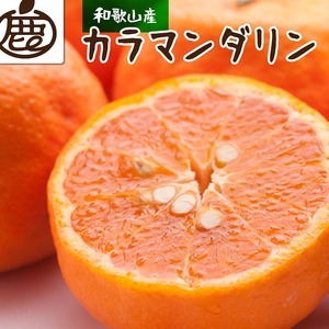<4月より発送>厳選 カラマンダリン10kg+250g(傷み補償分)◇【南津海・なつみ】【希少な春柑橘】【みかんと同じように食べられます】 ※北海道・沖縄・離島への配送不可 ※2026年4月