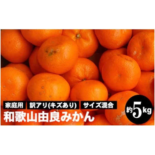 a̎RRǂ݂ 5kg 󂠂 LY ƒp TCYb݂ ~J a̎R R ܂ t[c ʕ k a̎RY  ӂ邳Ɣ[ ԗi 2025N11{`2026N1