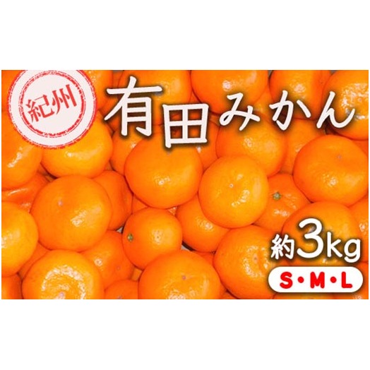 紀州有田みかん 約3kg サイズ (L・М・S) |みかん ミカン 和歌山 由良 フルーツ 果物 柑橘 和歌山県産 お取り寄せ 人気 ※2025年11月下旬〜2026年1月中旬頃に順次発送予定和歌山県美浜町10000果物