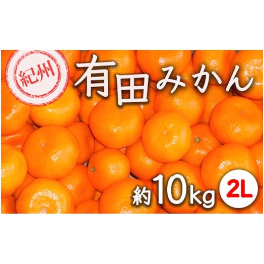 紀州有田みかん 約10kg サイズ (2L) |みかん ミカン 和歌山 由良 フルーツ 果物 柑橘 和歌山県産 お取り寄せ 人気 ※2025年11月下旬〜2026年1月中旬頃に順次発送予定和歌山県美浜町16000果物・フ