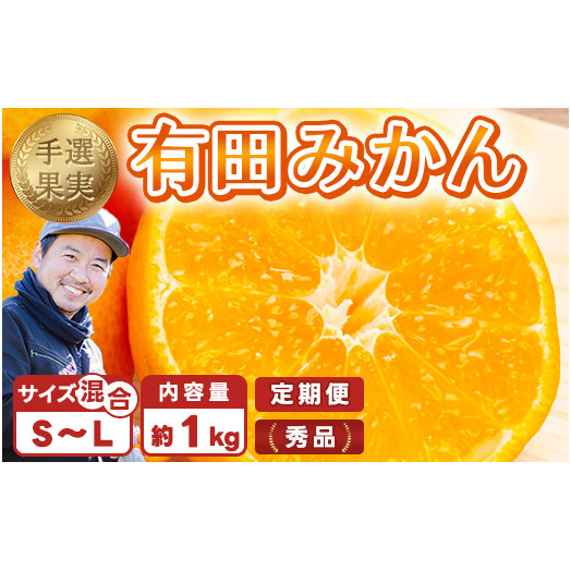 【まごころ手選別】【3ヶ月定期便】有田みかん 秀品 約1kg(S〜Lサイズ混合)※2025年11月上旬頃から1カ月に1回(計3回)発送和歌山県美浜町18000果物・フルーツみかん・柑橘類